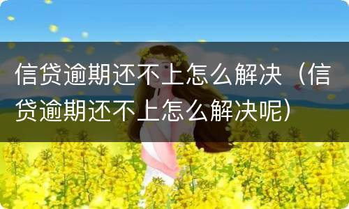 信贷逾期还不上怎么解决（信贷逾期还不上怎么解决呢）