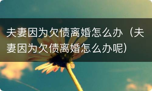 夫妻因为欠债离婚怎么办（夫妻因为欠债离婚怎么办呢）