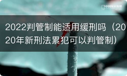 2022判管制能适用缓刑吗（2020年新刑法累犯可以判管制）