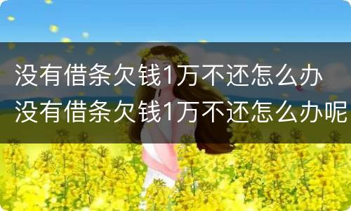 没有借条欠钱1万不还怎么办 没有借条欠钱1万不还怎么办呢