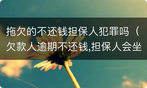 拖欠的不还钱担保人犯罪吗（欠款人逾期不还钱,担保人会坐牢吗）