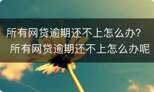 所有网贷逾期还不上怎么办？ 所有网贷逾期还不上怎么办呢
