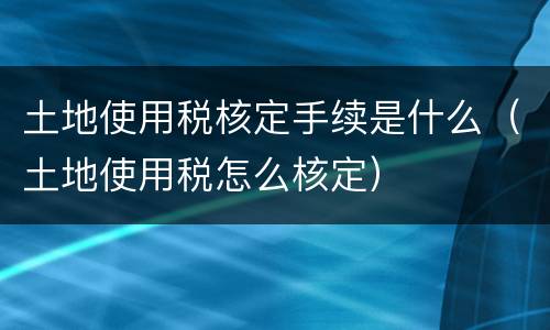 土地使用税核定手续是什么（土地使用税怎么核定）