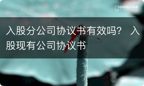 入股分公司协议书有效吗？ 入股现有公司协议书