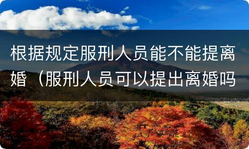 根据规定服刑人员能不能提离婚（服刑人员可以提出离婚吗）