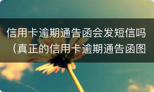 信用卡逾期通告函会发短信吗（真正的信用卡逾期通告函图片）