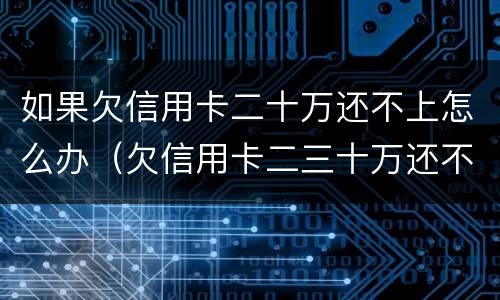 如果欠信用卡二十万还不上怎么办（欠信用卡二三十万还不起怎么办）