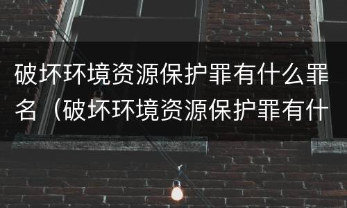 破坏环境资源保护罪有什么罪名（破坏环境资源保护罪有什么罪名吗）