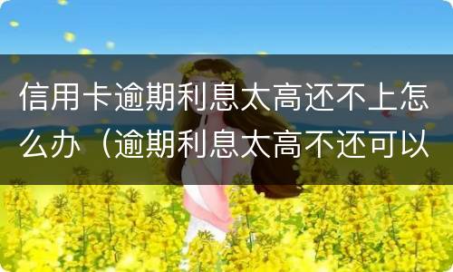 信用卡逾期利息太高还不上怎么办（逾期利息太高不还可以吗）