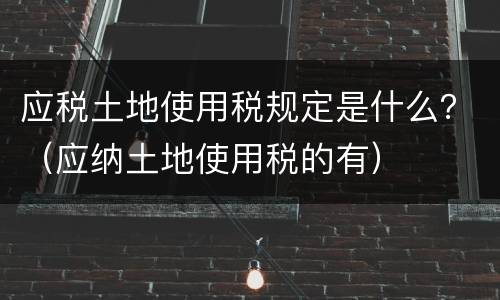 应税土地使用税规定是什么？（应纳土地使用税的有）