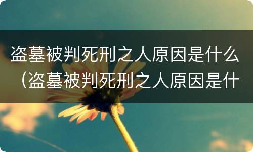 盗墓被判死刑之人原因是什么（盗墓被判死刑之人原因是什么意思）