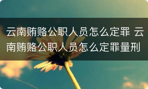 云南贿赂公职人员怎么定罪 云南贿赂公职人员怎么定罪量刑标准