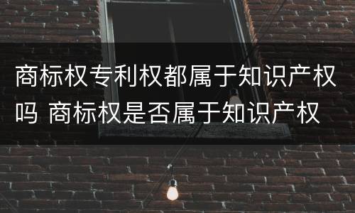商标权专利权都属于知识产权吗 商标权是否属于知识产权
