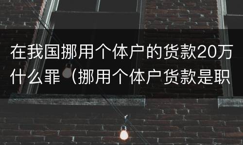 在我国挪用个体户的货款20万什么罪（挪用个体户货款是职务侵占吗）