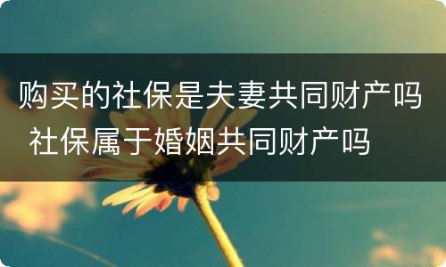 购买的社保是夫妻共同财产吗 社保属于婚姻共同财产吗