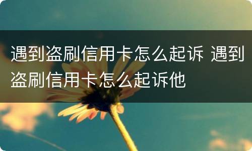 遇到盗刷信用卡怎么起诉 遇到盗刷信用卡怎么起诉他