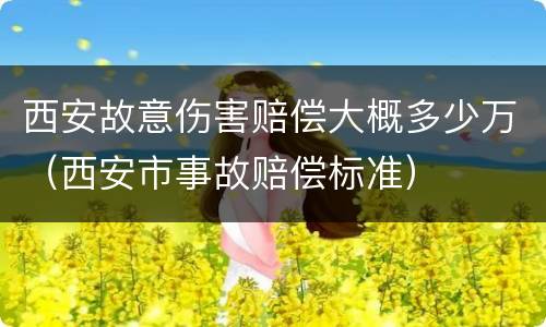 西安故意伤害赔偿大概多少万（西安市事故赔偿标准）