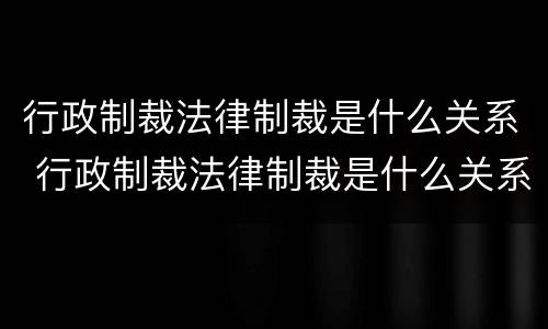 行政制裁法律制裁是什么关系 行政制裁法律制裁是什么关系的