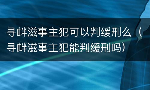 寻衅滋事主犯可以判缓刑么（寻衅滋事主犯能判缓刑吗）