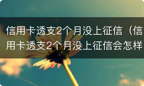 信用卡透支2个月没上征信（信用卡透支2个月没上征信会怎样）