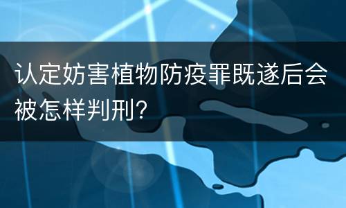 认定妨害植物防疫罪既遂后会被怎样判刑?