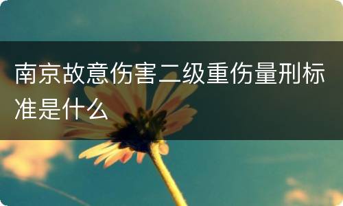 南京故意伤害二级重伤量刑标准是什么