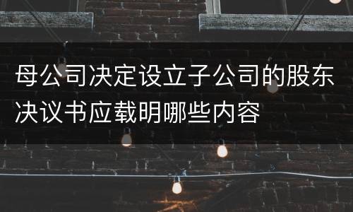 母公司决定设立子公司的股东决议书应载明哪些内容