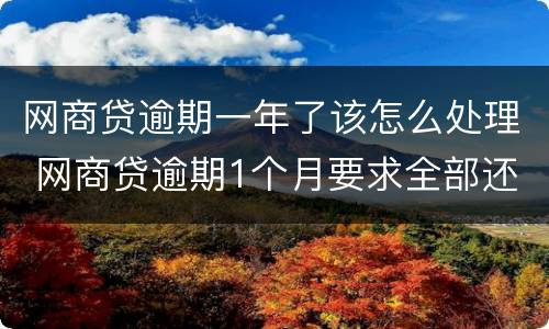 网商贷逾期一年了该怎么处理 网商贷逾期1个月要求全部还清怎么办