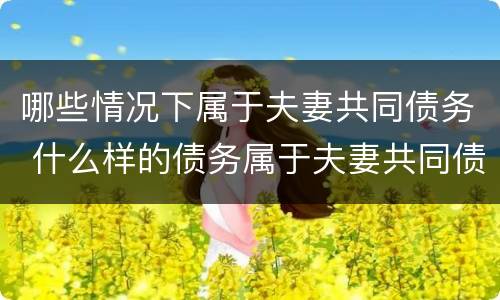 哪些情况下属于夫妻共同债务 什么样的债务属于夫妻共同债务