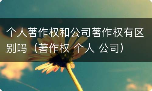 个人著作权和公司著作权有区别吗（著作权 个人 公司）