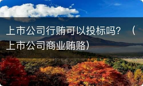 上市公司行贿可以投标吗？（上市公司商业贿赂）