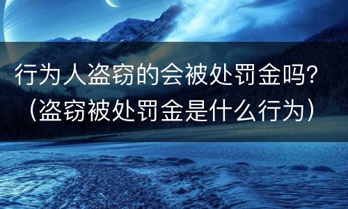 行为人盗窃的会被处罚金吗？（盗窃被处罚金是什么行为）