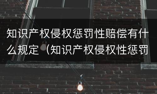 知识产权侵权惩罚性赔偿有什么规定（知识产权侵权性惩罚制度）