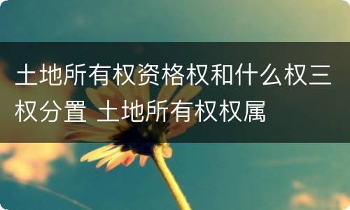 土地所有权资格权和什么权三权分置 土地所有权权属