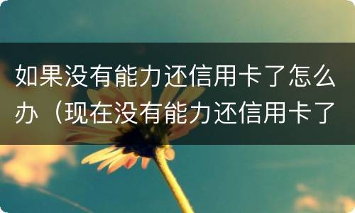 如果没有能力还信用卡了怎么办（现在没有能力还信用卡了怎么办）