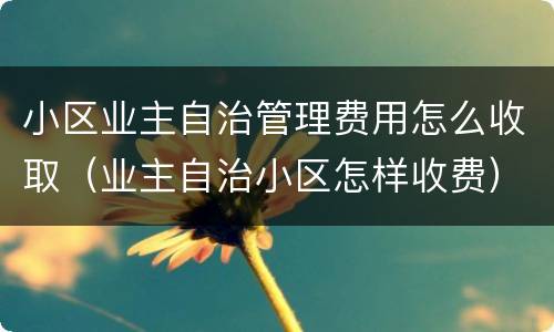 小区业主自治管理费用怎么收取（业主自治小区怎样收费）