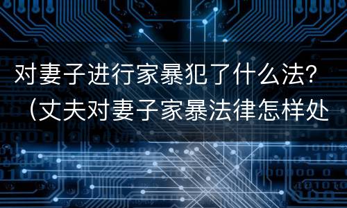 对妻子进行家暴犯了什么法？（丈夫对妻子家暴法律怎样处罚）