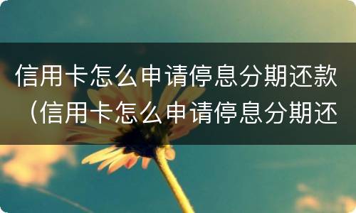 信用卡怎么申请停息分期还款（信用卡怎么申请停息分期还款的）