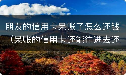 朋友的信用卡呆账了怎么还钱（呆账的信用卡还能往进去还钱吗）