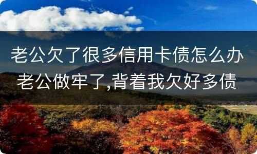老公欠了很多信用卡债怎么办 老公做牢了,背着我欠好多债,还欠了信用卡怎么办