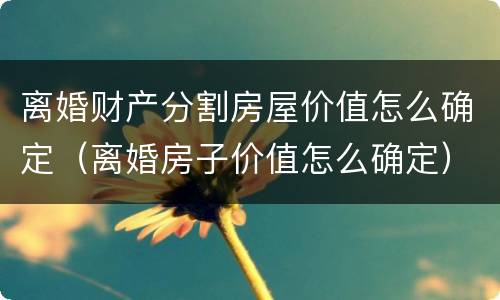 离婚财产分割房屋价值怎么确定（离婚房子价值怎么确定）