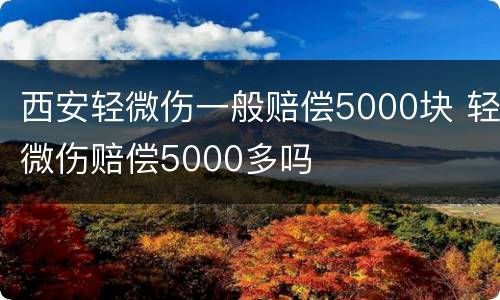 西安轻微伤一般赔偿5000块 轻微伤赔偿5000多吗