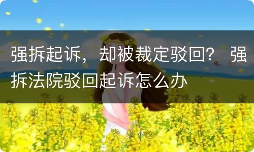强拆起诉，却被裁定驳回？ 强拆法院驳回起诉怎么办