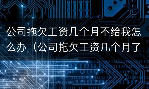 公司拖欠工资几个月不给我怎么办（公司拖欠工资几个月了怎么办）