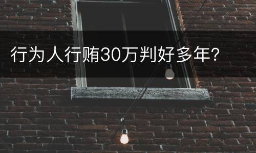 行为人行贿30万判好多年？