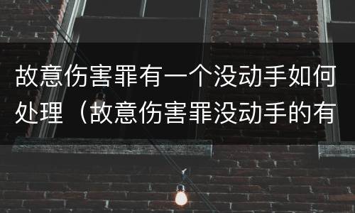 故意伤害罪有一个没动手如何处理（故意伤害罪没动手的有罪吗）