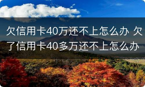 欠信用卡40万还不上怎么办 欠了信用卡40多万还不上怎么办