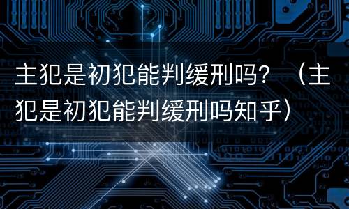 主犯是初犯能判缓刑吗？（主犯是初犯能判缓刑吗知乎）