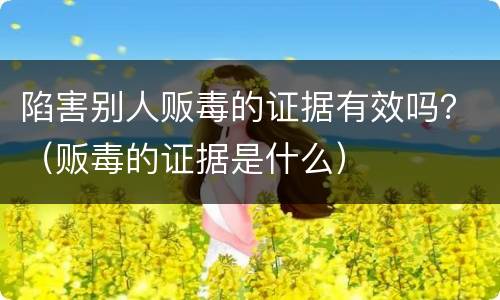 陷害别人贩毒的证据有效吗？（贩毒的证据是什么）