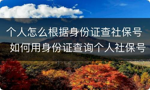 个人怎么根据身份证查社保号 如何用身份证查询个人社保号